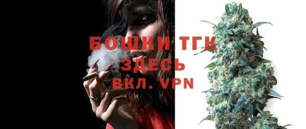 молекула духа Аркадак