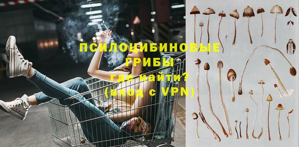 СК Балахна