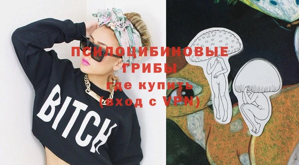 СК Балахна