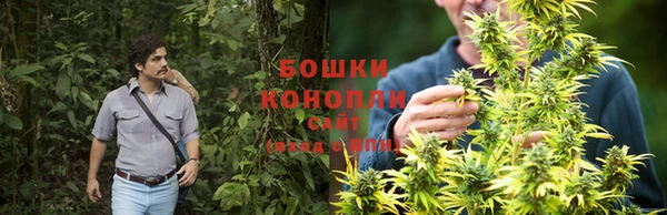 прущие крисы Магас