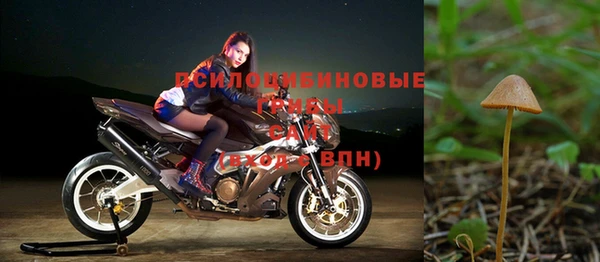2c-b Балабаново